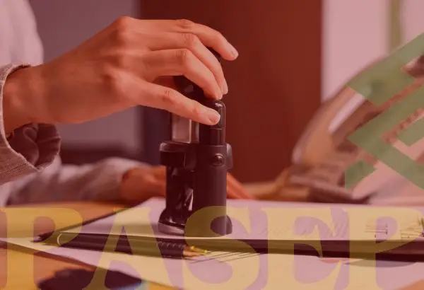 11 Direitos Que Todo Servidor Público Precisa Conhecer: Garantindo a Aposentadoria e Revisão do PASEP